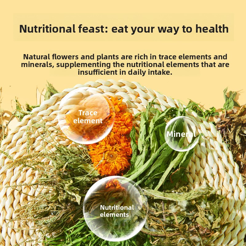 이이 래빗 헬스 스낵 믹스 소화 건강 활력 블렌드 민들 - Health Wellness Vitality 리뷰 및 가격
