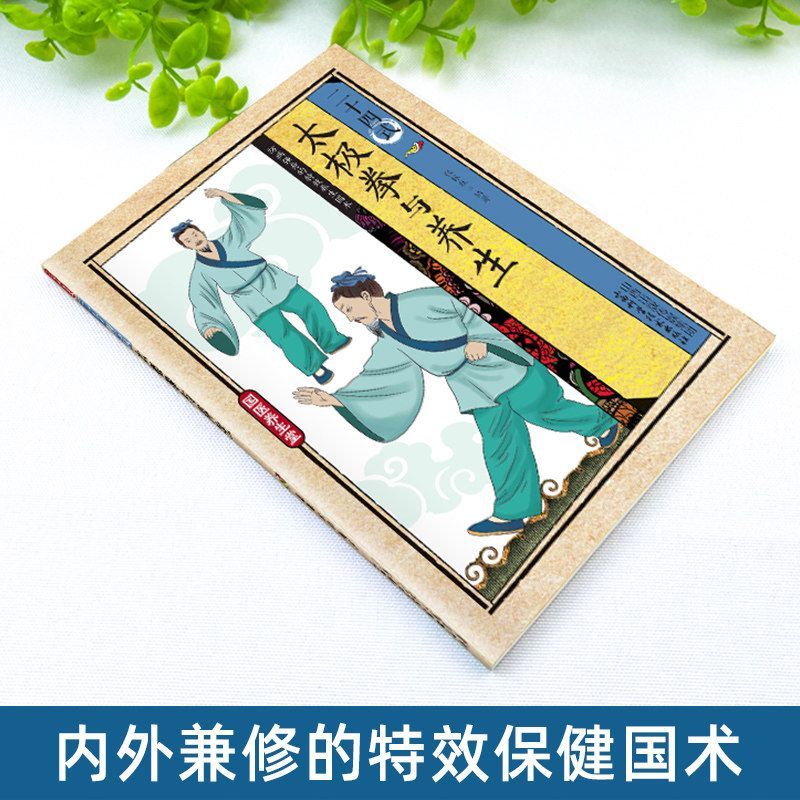 24가지 스타일의 태극권과 건강 운동 일러스트레이션된  - Health & Wellness Therapy Center 리뷰 및 가격