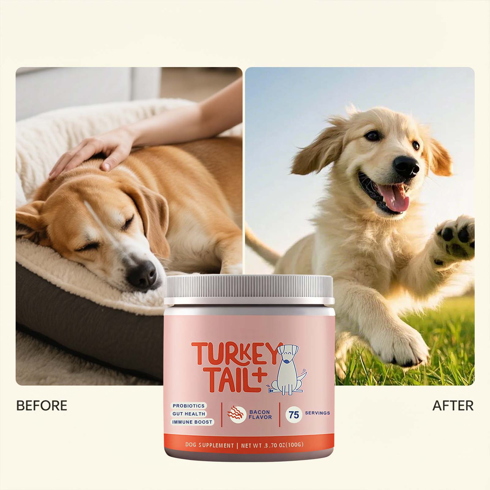강아지 유산균 파우더 장 건강 지원 소화 건강 증진 신 - Health Wellness Vitality 리뷰 및 가격