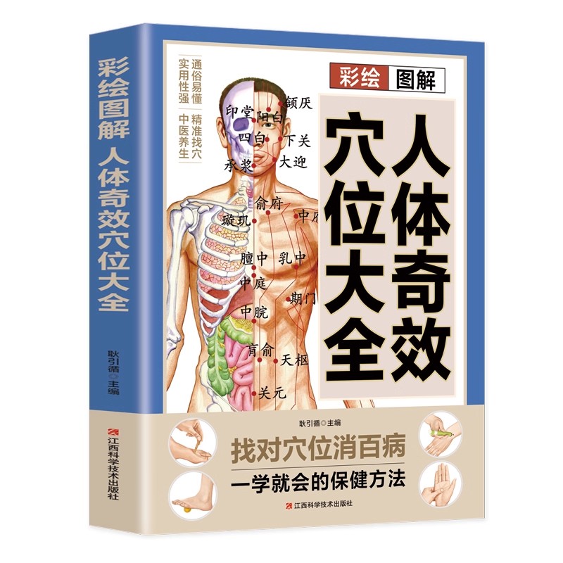 경혈 마사지 및 TCM 건강 보존 가이드, 전통 중국  - Health & Wellness Therapy Center 리뷰 및 가격