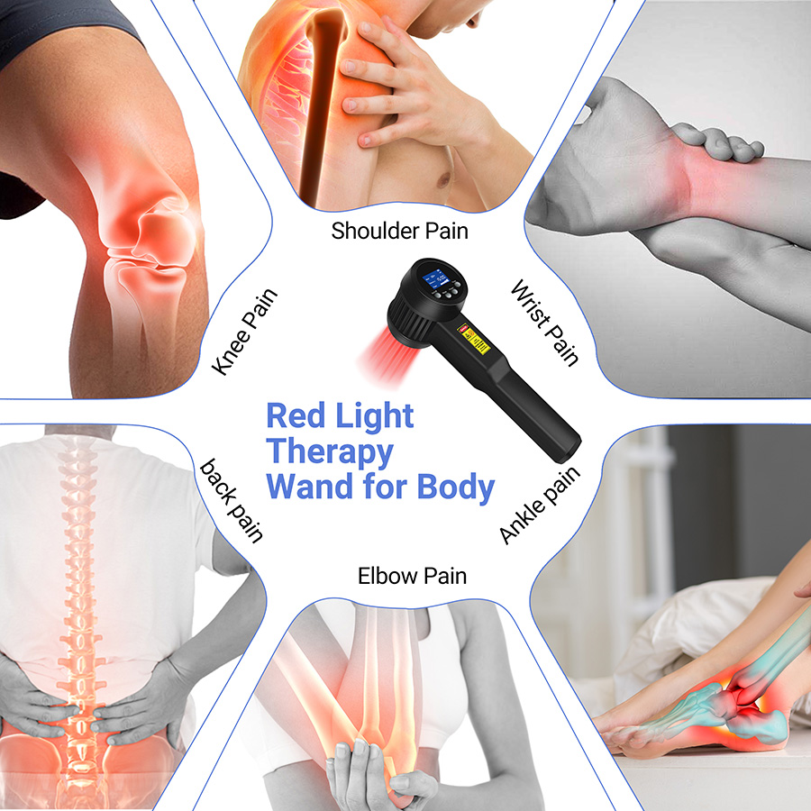 2026 휴대용 4등급 냉각 레이저(강아지용) 적색광  - Red Light Therapy Device 리뷰 및 가격