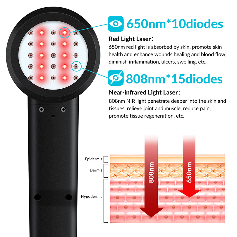 2026 휴대용 4등급 냉각 레이저(강아지용) 적색광  - Red Light Therapy Device 리뷰 및 가격
