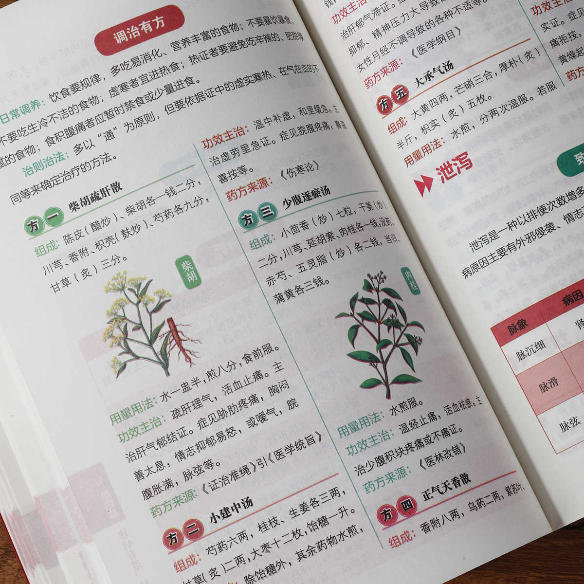 맥박 진단 자율 학습 100일 과정, 전통 중국 의학  - Health & Wellness Therapy Center 리뷰 및 가격